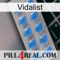 Vidalist 22